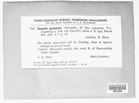 Image Associated With the Occurence